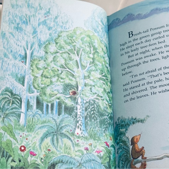 Brave Brush-Tail Possum Hardcover Picture Book - Picture 3 of 7